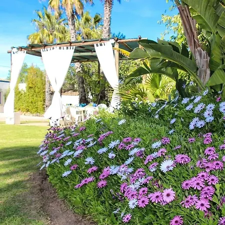 Elegant In With Private Pool